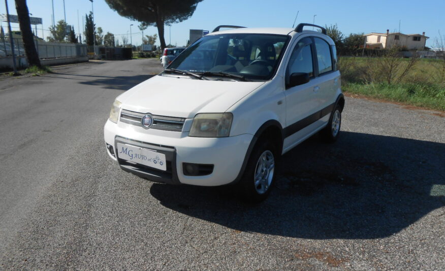 FIAT PANDA 1.3 MJT 4X4 CLIMBING 70 CV